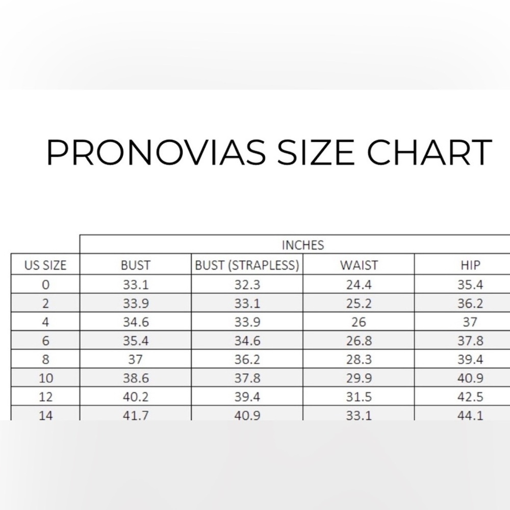 Pronovias Marisa Wedding Dress - Picture 13 of 13